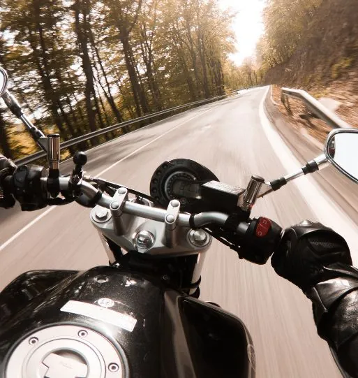 Motociclista pilotando em estrada cercada por árvores